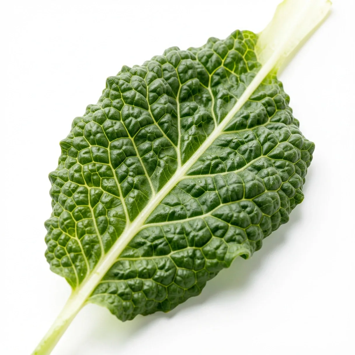 Cellular botanical structure